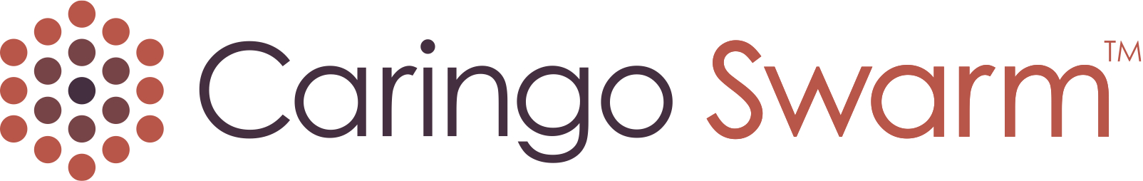 caringo-swarm-logo